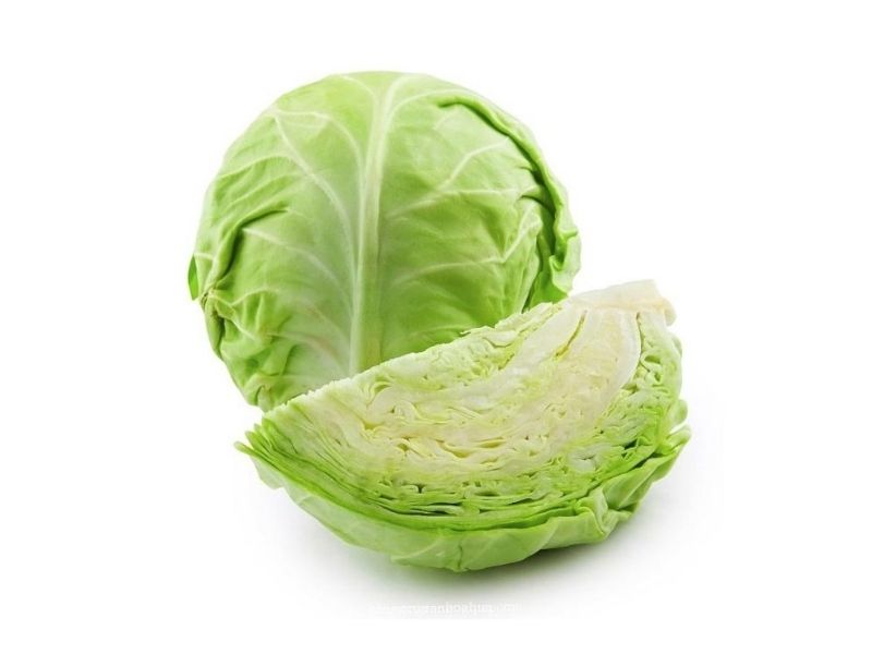 BẮP CẢI TRÒN